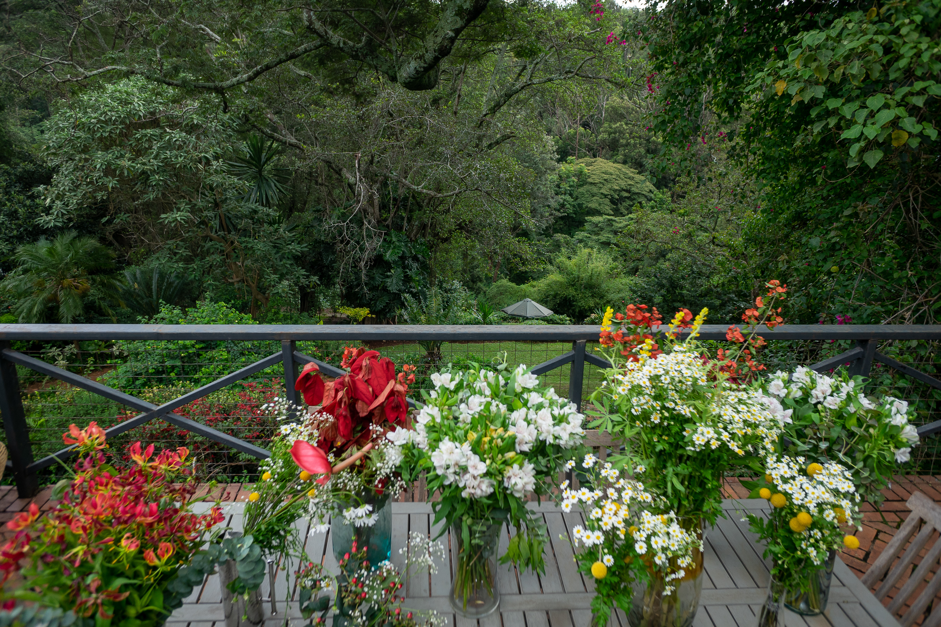 Wellness Club - Garden View