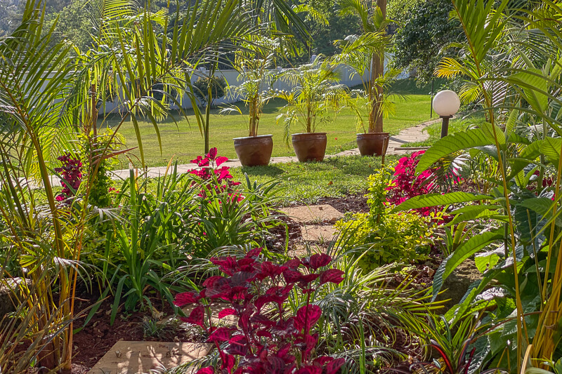 Cape Gardens - Gallery 2