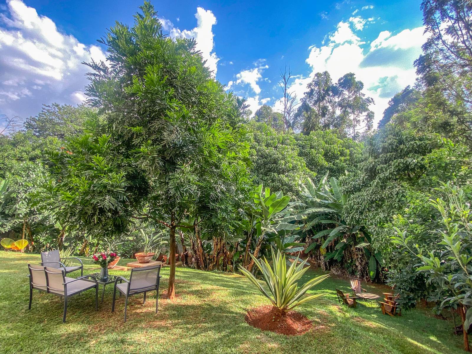 Elementaita - Gallery 8