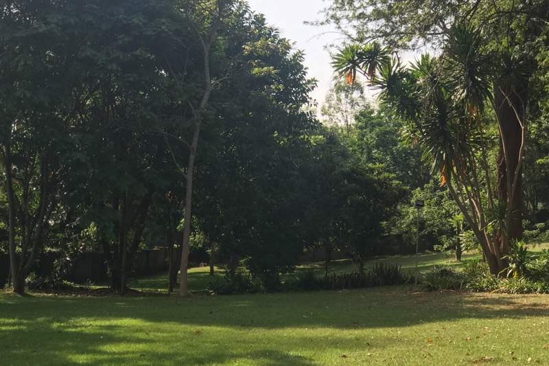 The Meadows Flat - Gallery 5