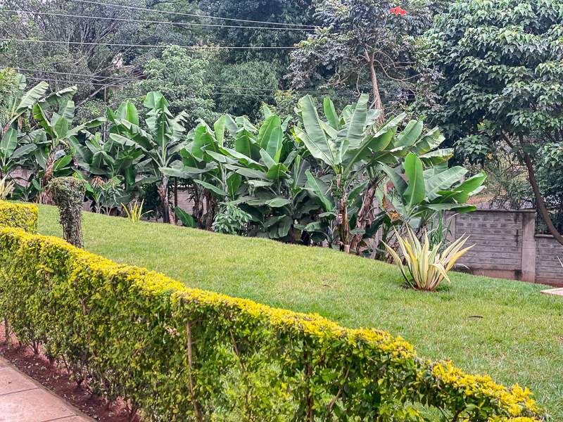 Bogoria House - Balcony