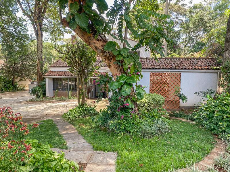 Mt. Kenya Cottage - Gallery 3