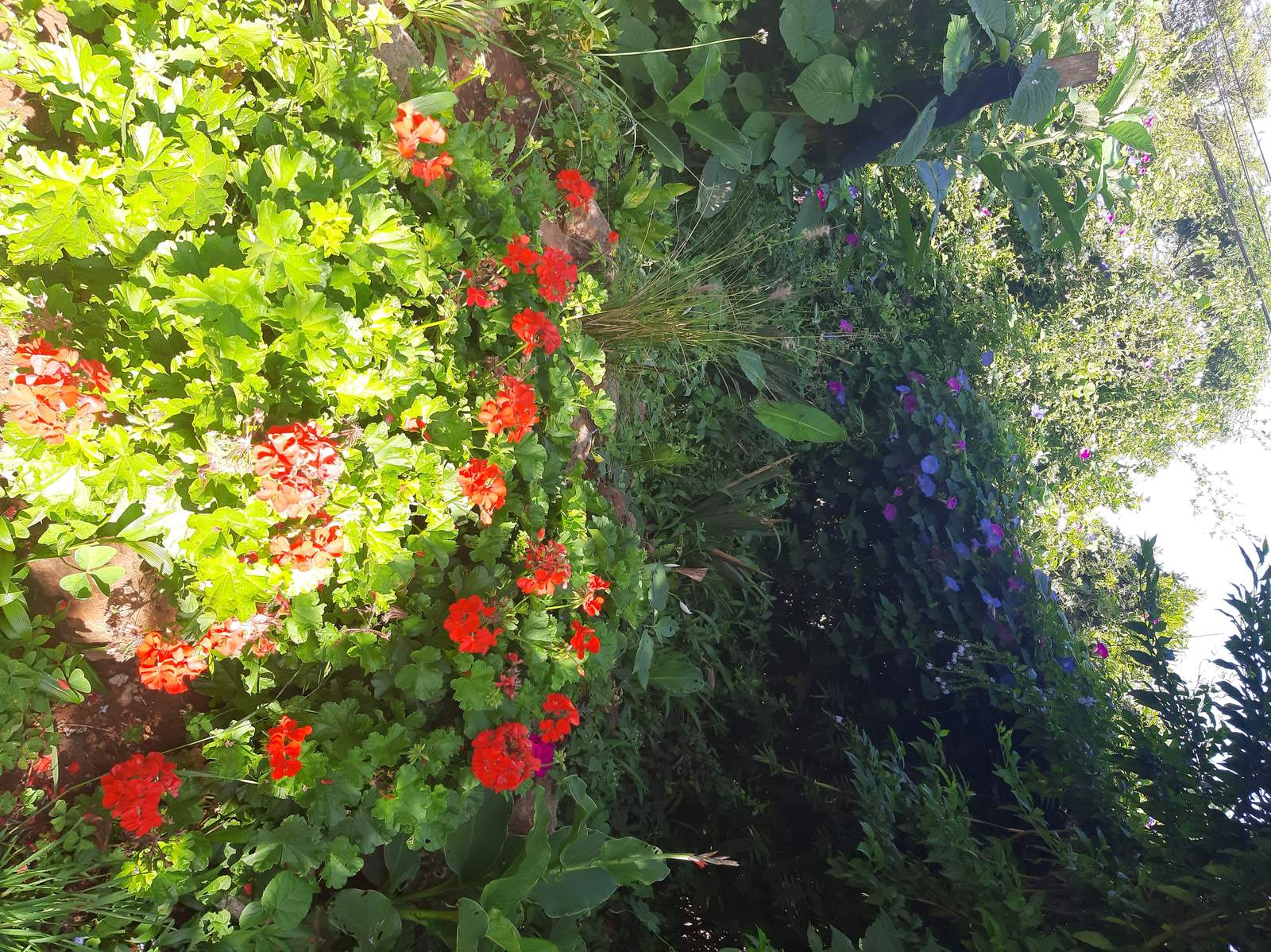 The Hedge - Interior Detail