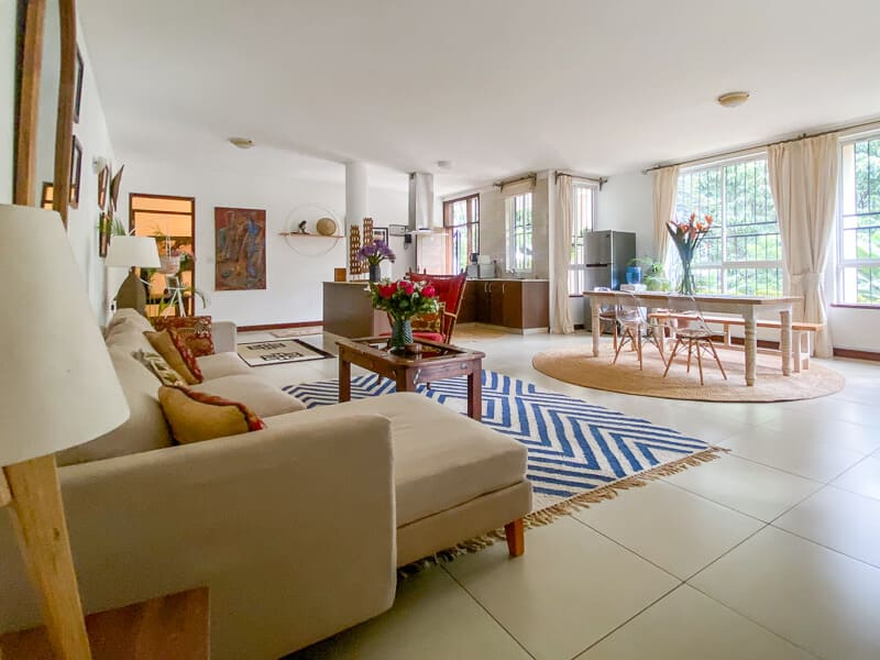 Elementaita - Main View