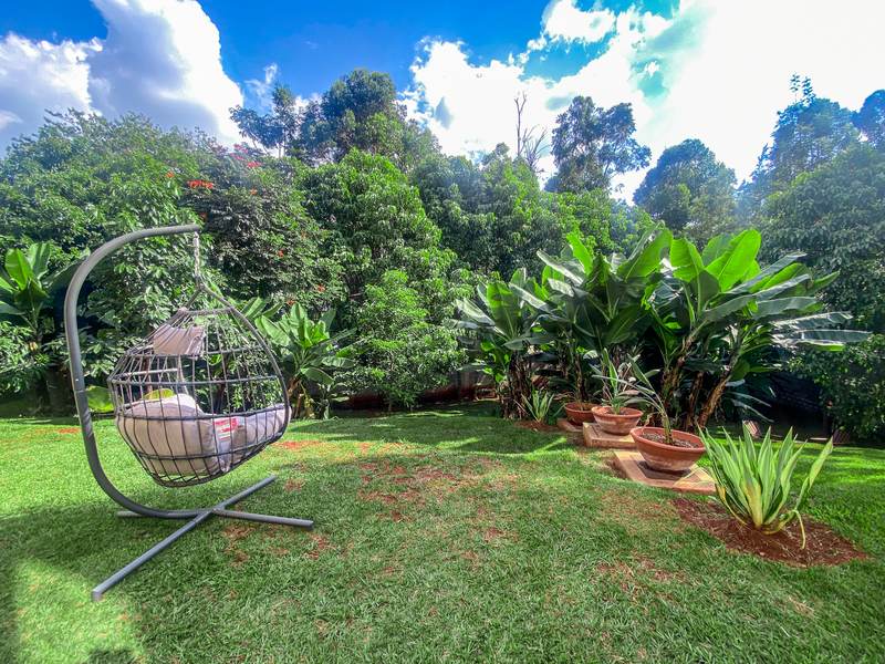 Elgon - Gallery 29