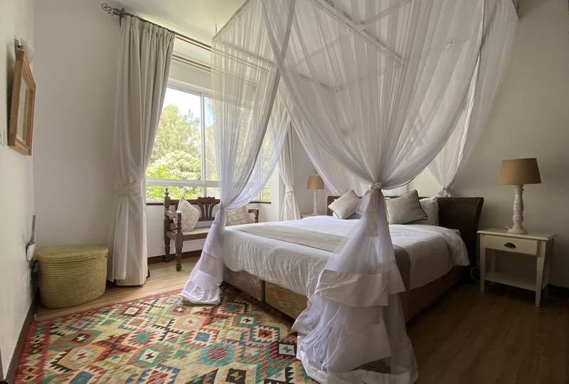 Elgon - Gallery 6