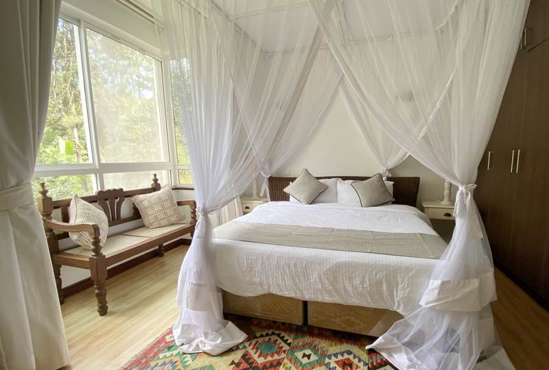Elgon - Gallery 11