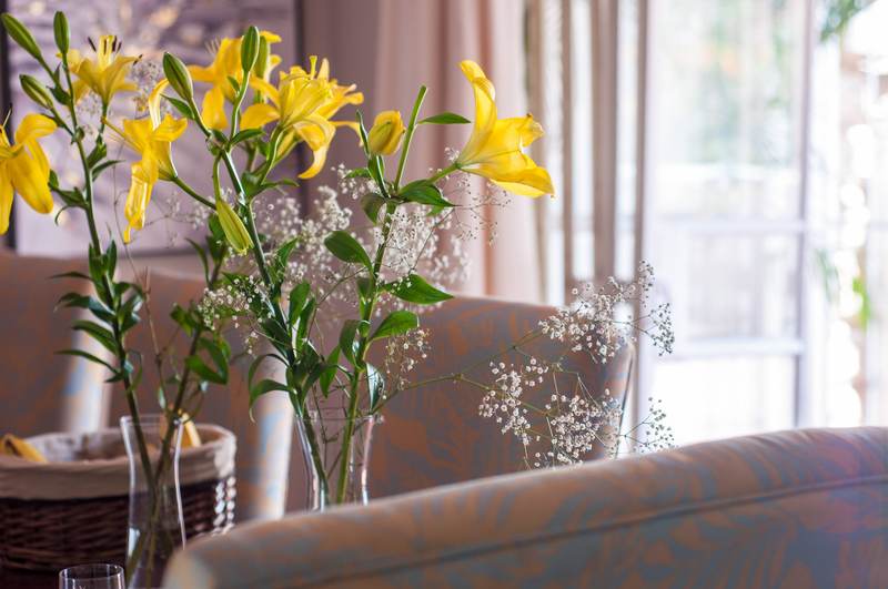 Honeysuckle - Exterior