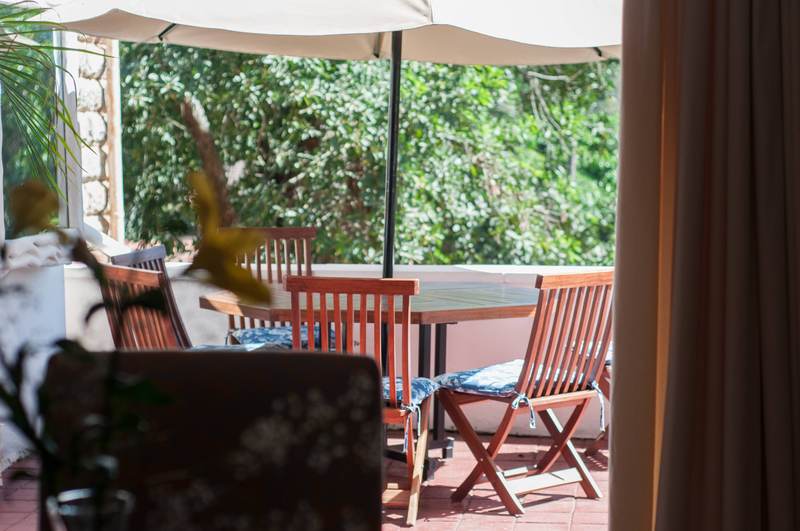 Honeysuckle - Garden