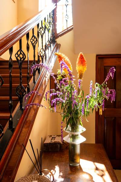 Kilimanjaro - Gallery 33