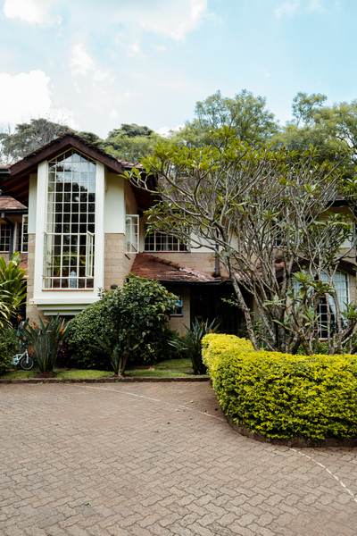 Kilimanjaro - Gallery 2