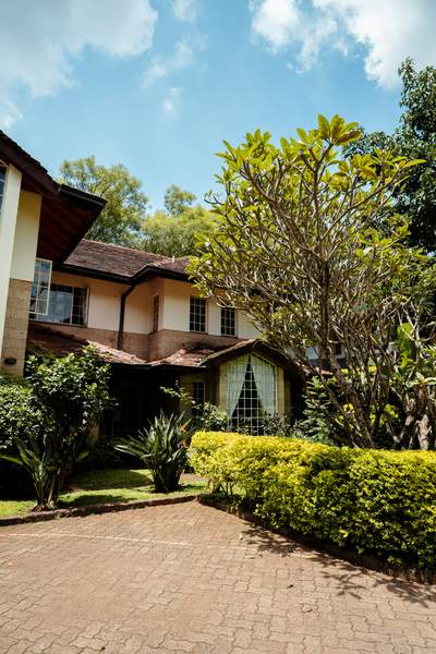 Kilimanjaro - Gallery 4