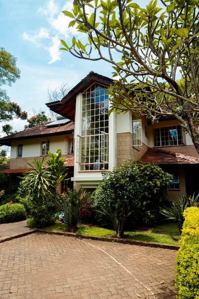 Kilimanjaro - Gallery 5