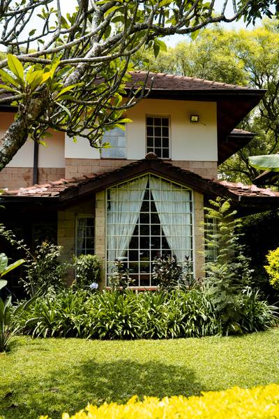 Kilimanjaro - Gallery 6