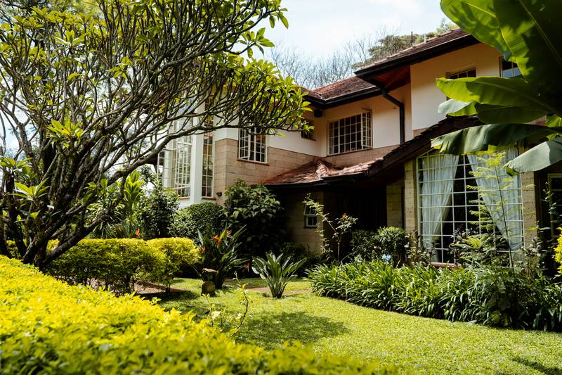 Kilimanjaro - Gallery 7