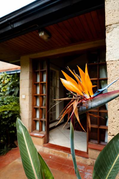 Kilimanjaro - Gallery 10