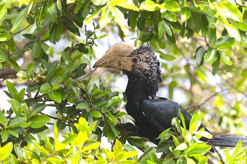 Nyumba Ndogo - Garden