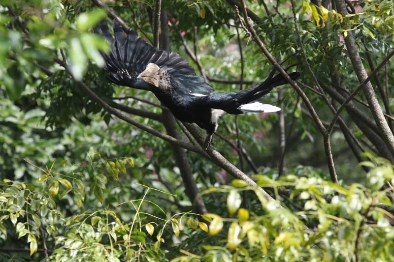 Nyumba Ndogo - Garden