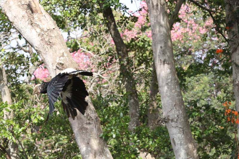 Nyumba Ndogo - Garden