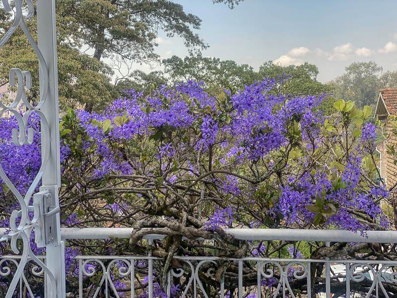 Petrea Cottage - Washroom