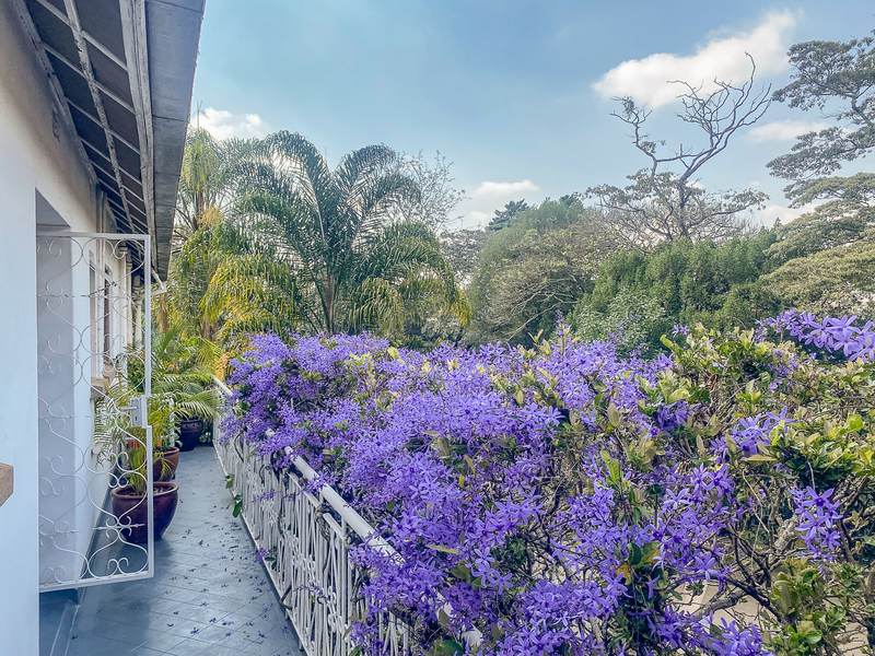 Petrea Cottage - Kitchen Window