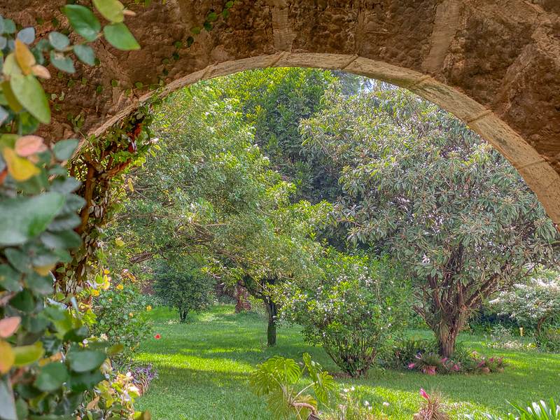 Petrea Cottage - Petrea Blooms