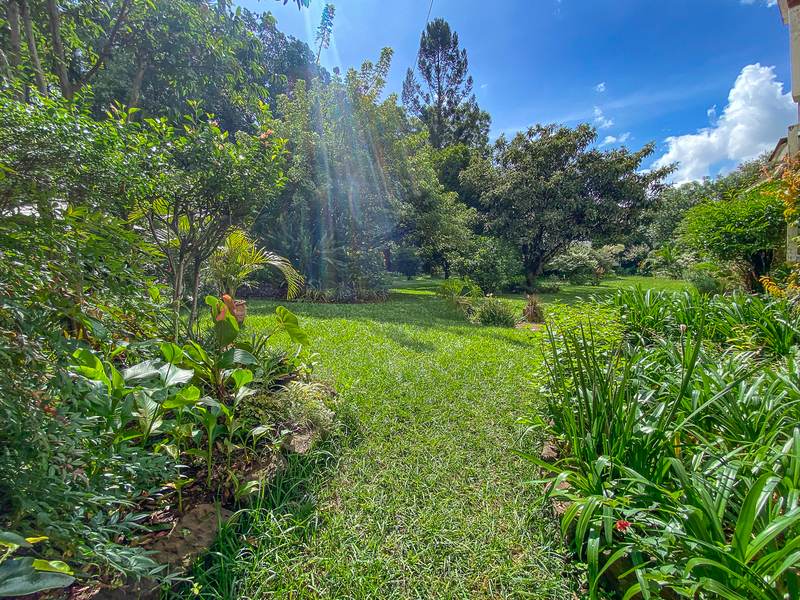 Petrea Cottage - Purple Welcome