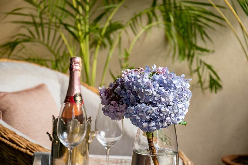 Tradewinds - Gallery 7