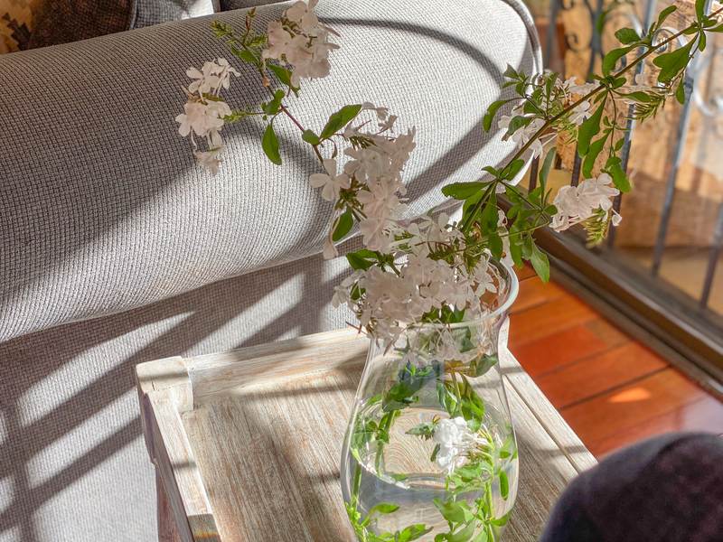 Tradewinds - Gallery 37