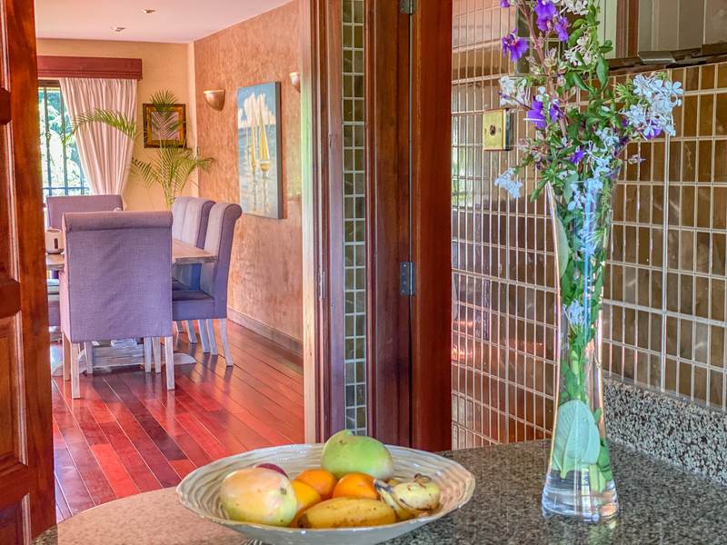 Tradewinds - Gallery 44