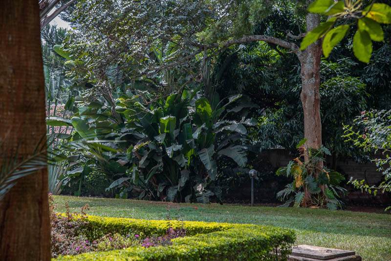 Flame Tree Runda - Aerial