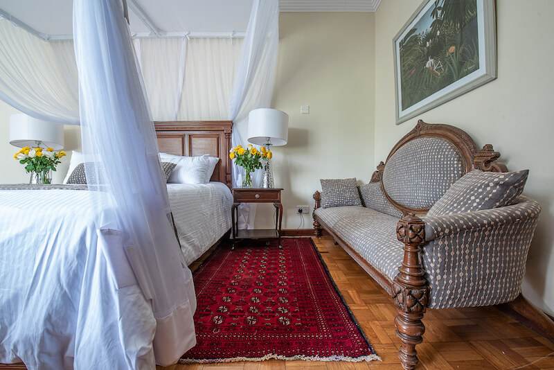 Forest Edge - Forest View