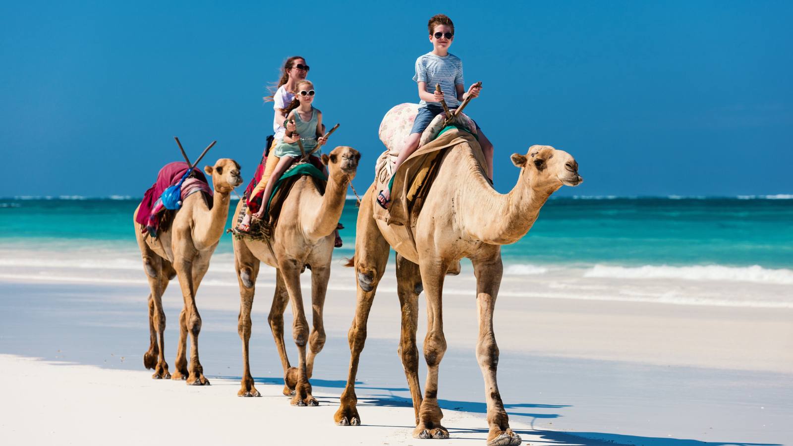 Mombasa, Diani & South Coast