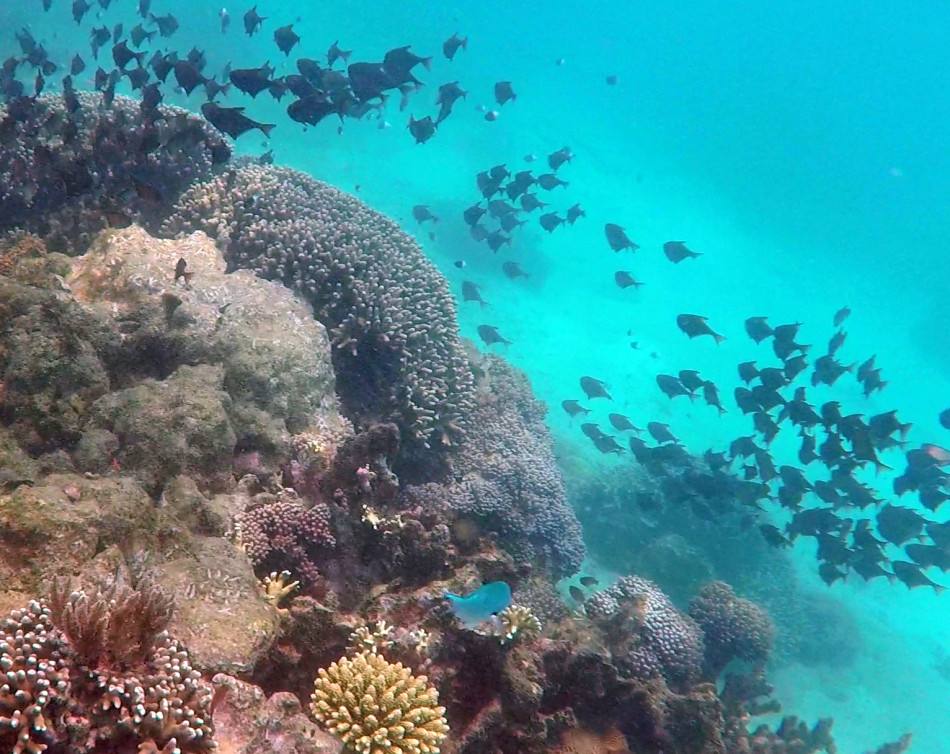 Diani Beach Paradise