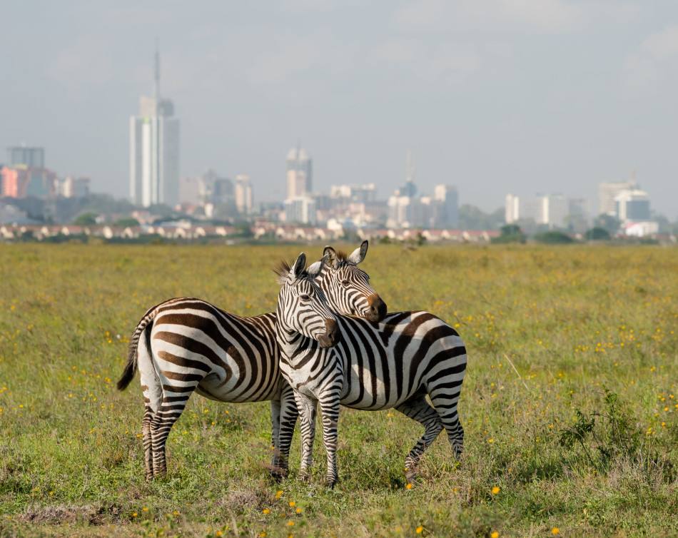 Nairobi National Park